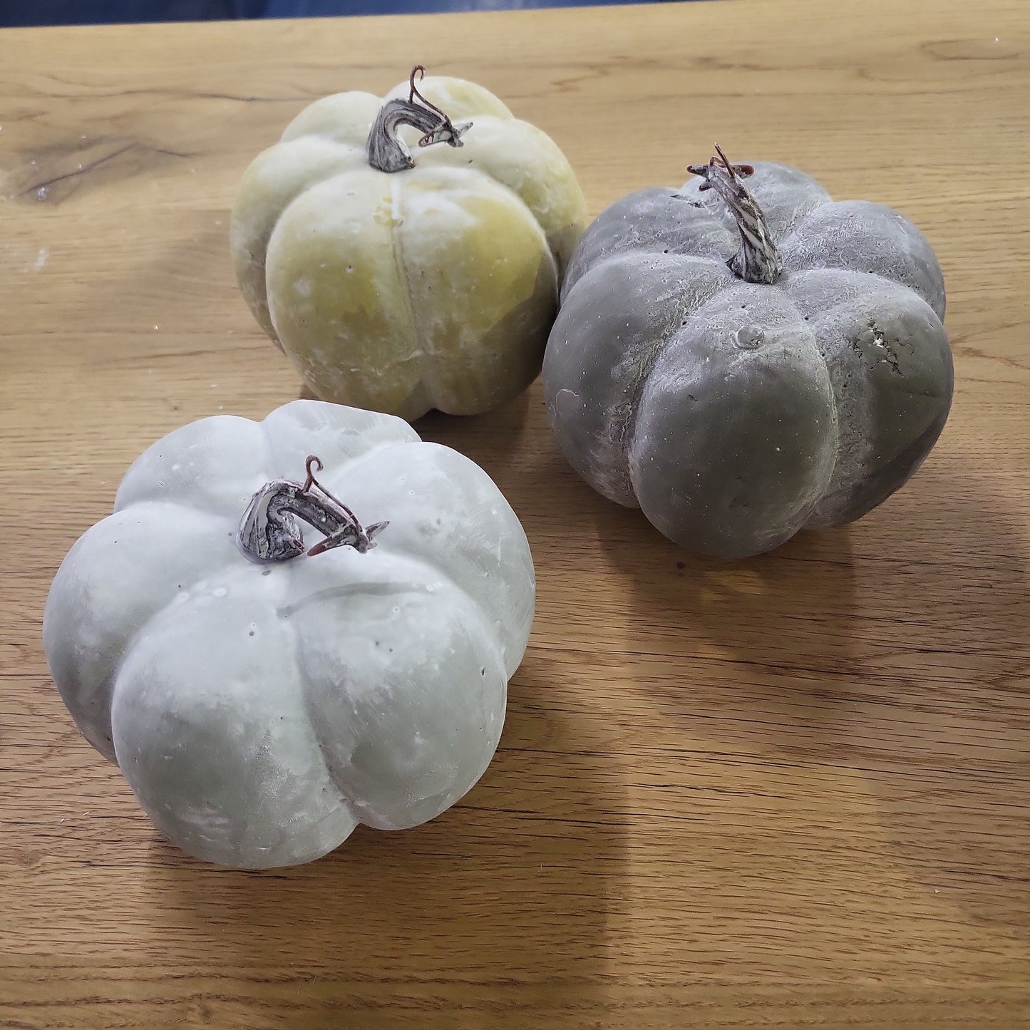 Deko- Kürbis "Cucurbita"