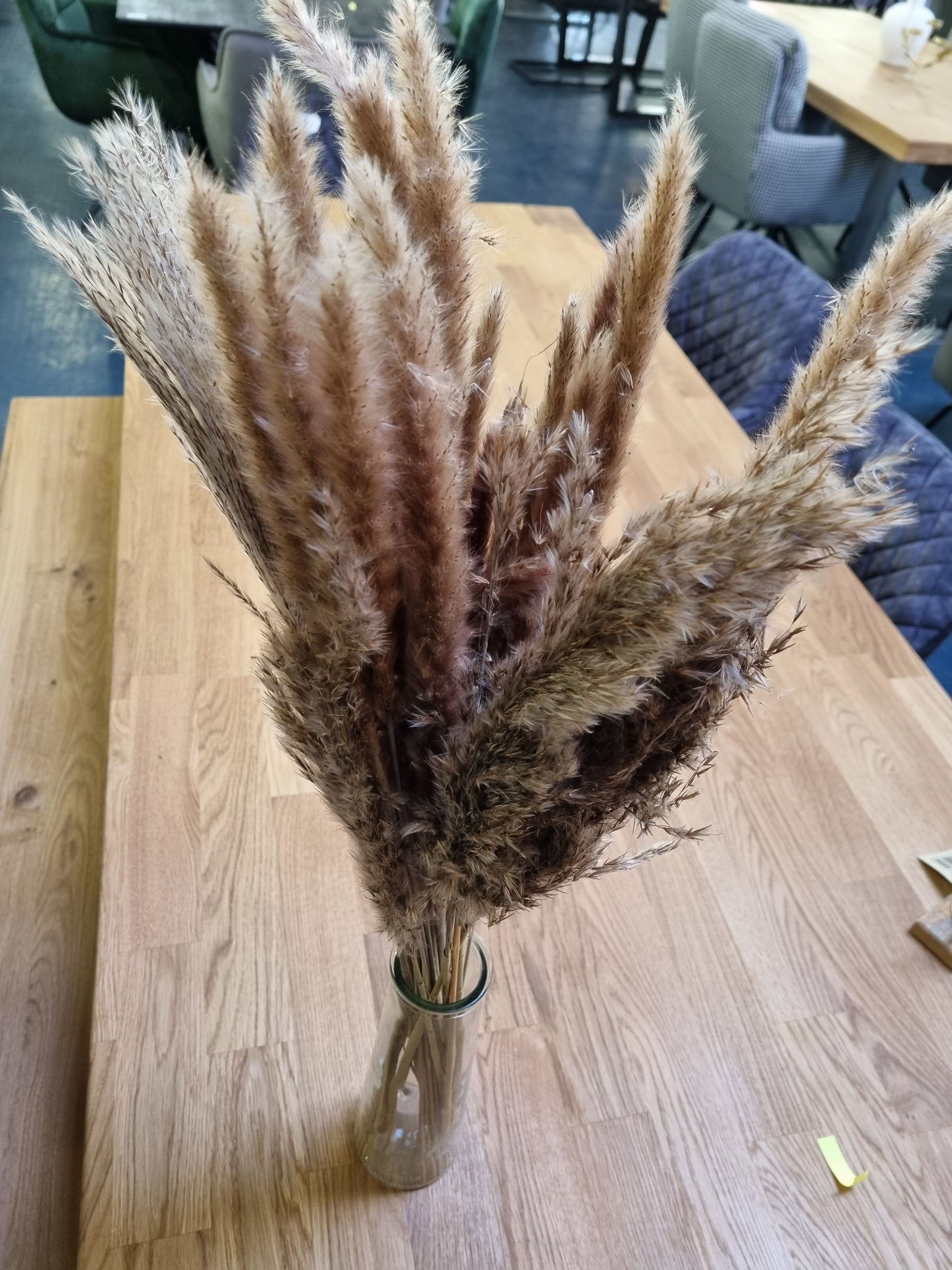 Pampas in Glasvase