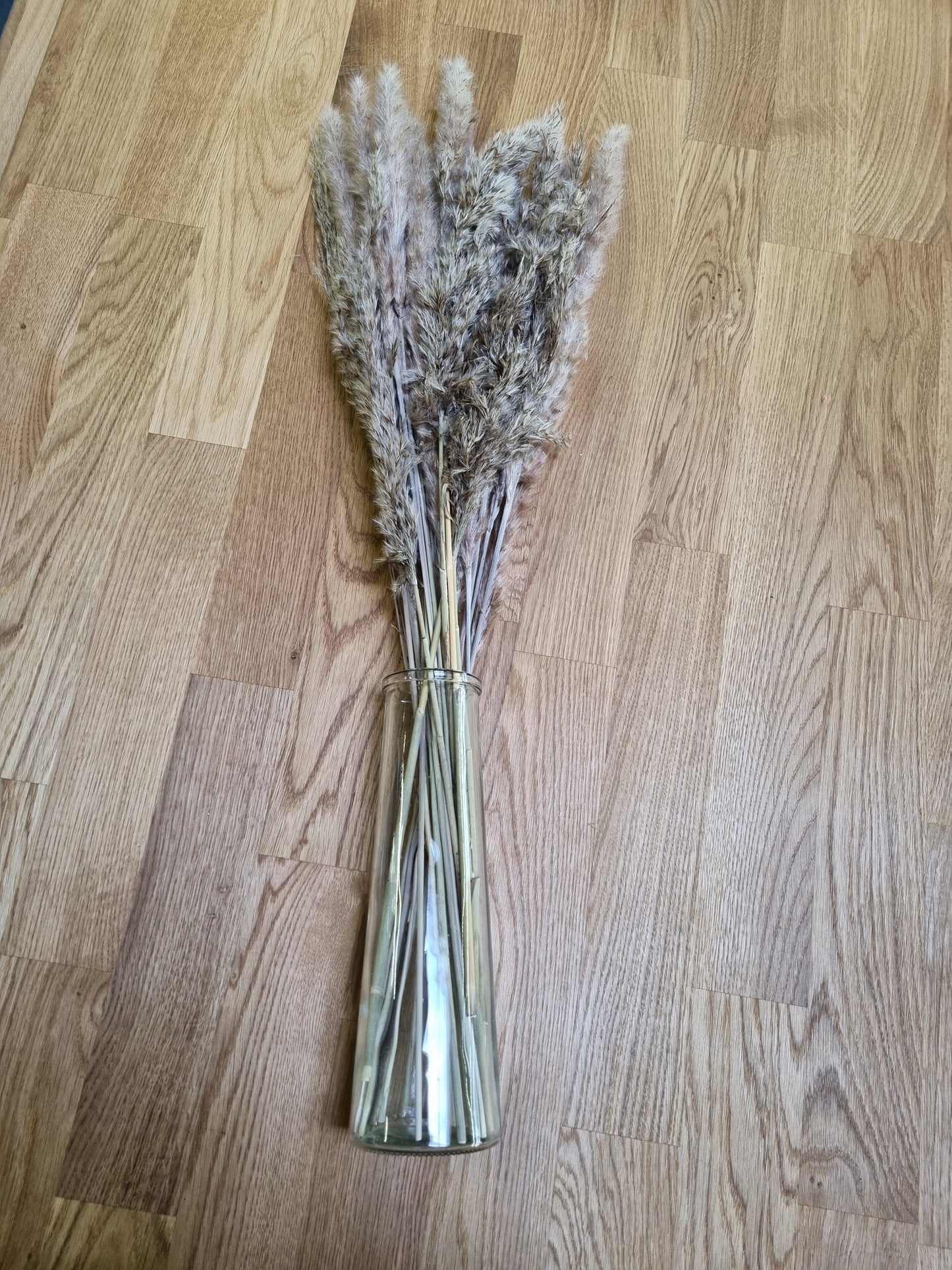 Pampas in Glasvase