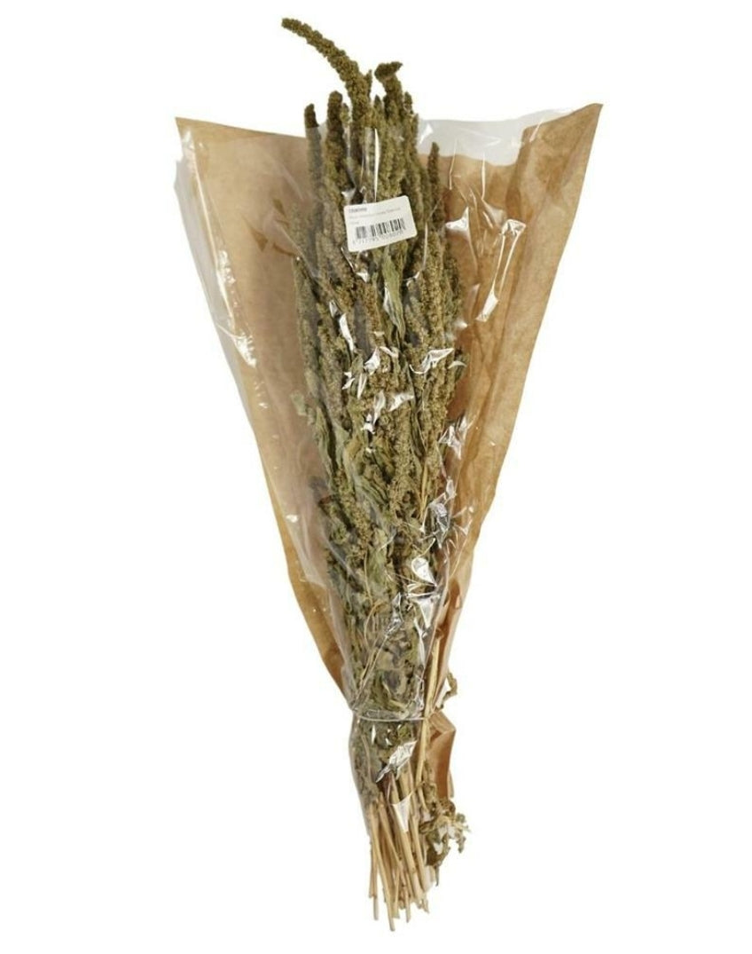Trockenstrauß Amaranth 63cm