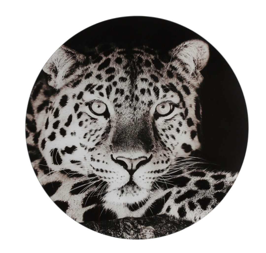 Glasbild Leopard