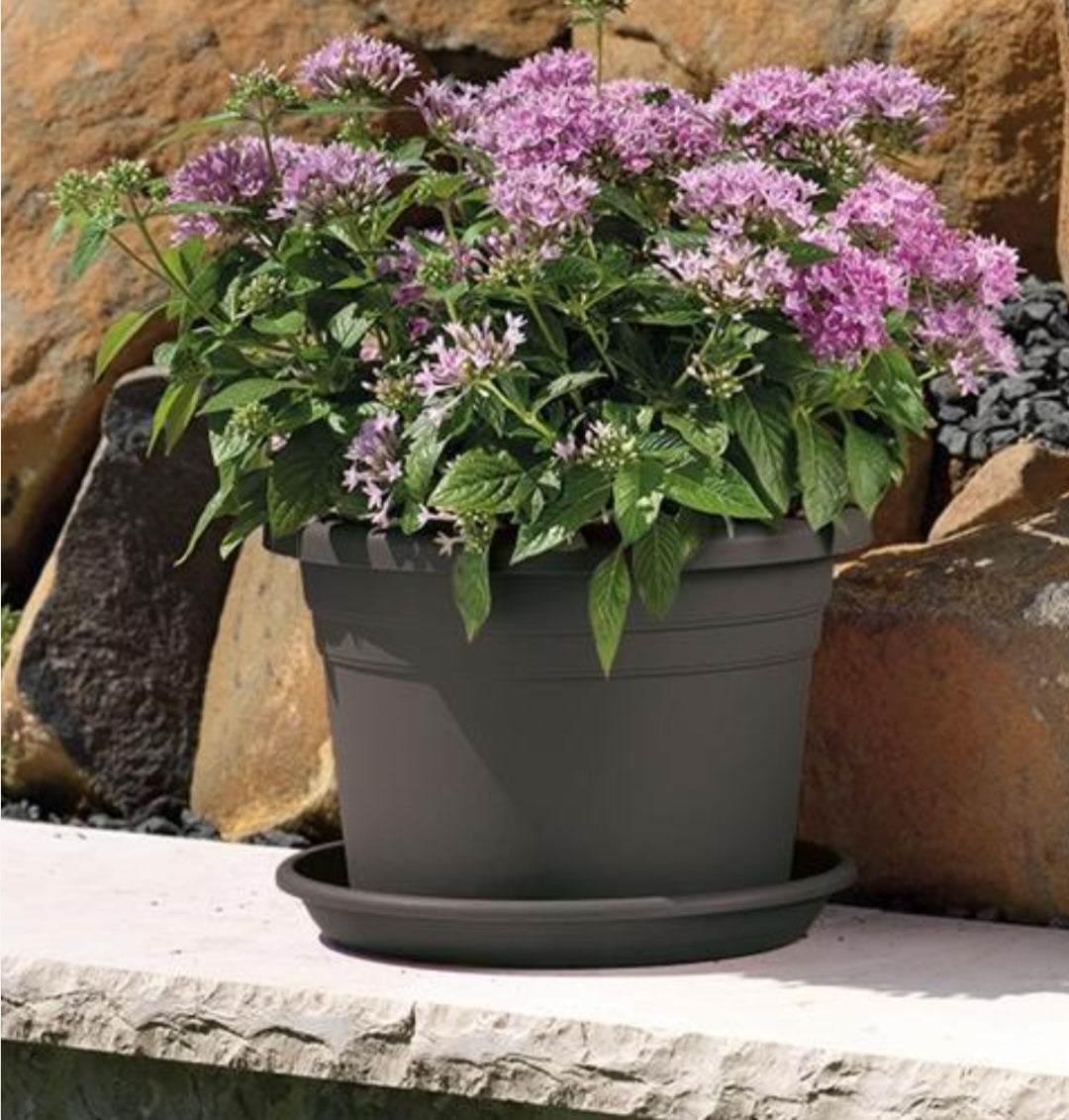 Blumentopf 20cm