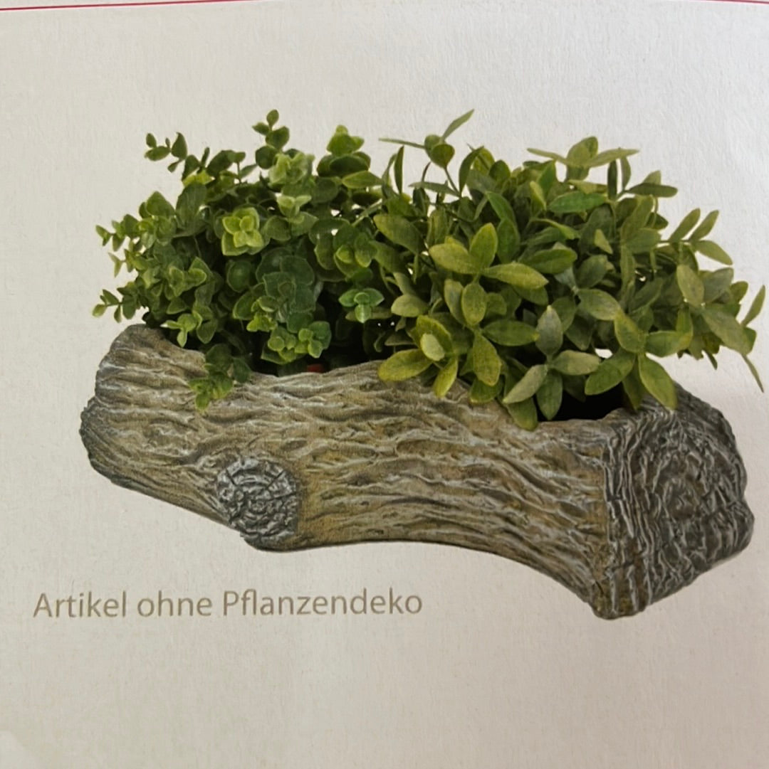 Pflanzgefäß Baum klein