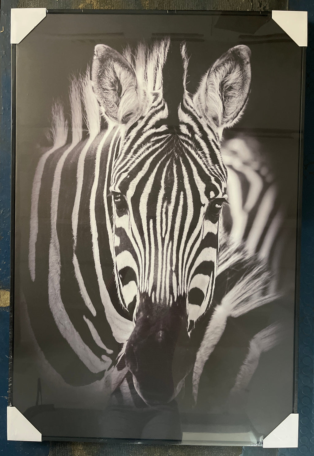 Wandbild Canvas