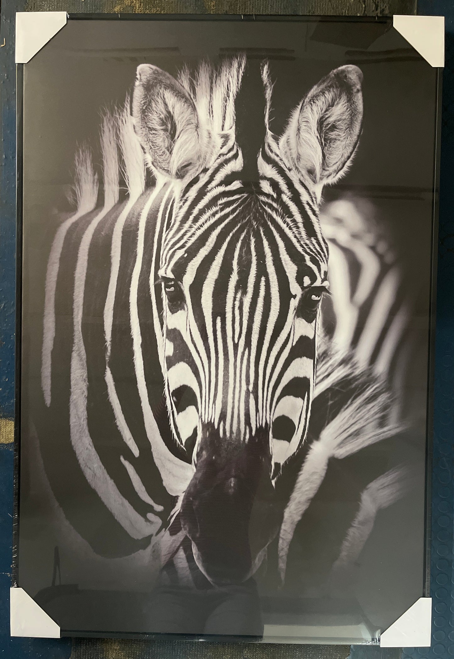 Wandbild Canvas