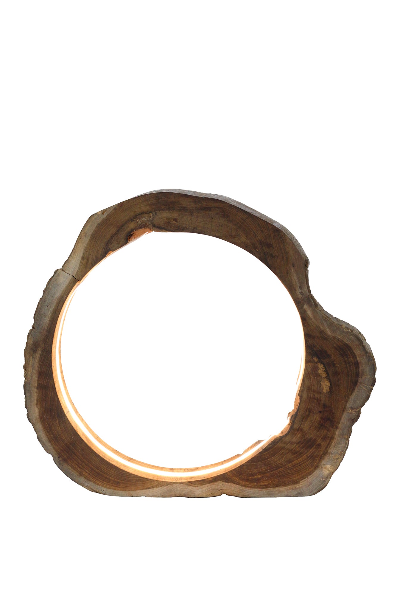 Sales Fever - Tischleuchte LED Treibholz Natur