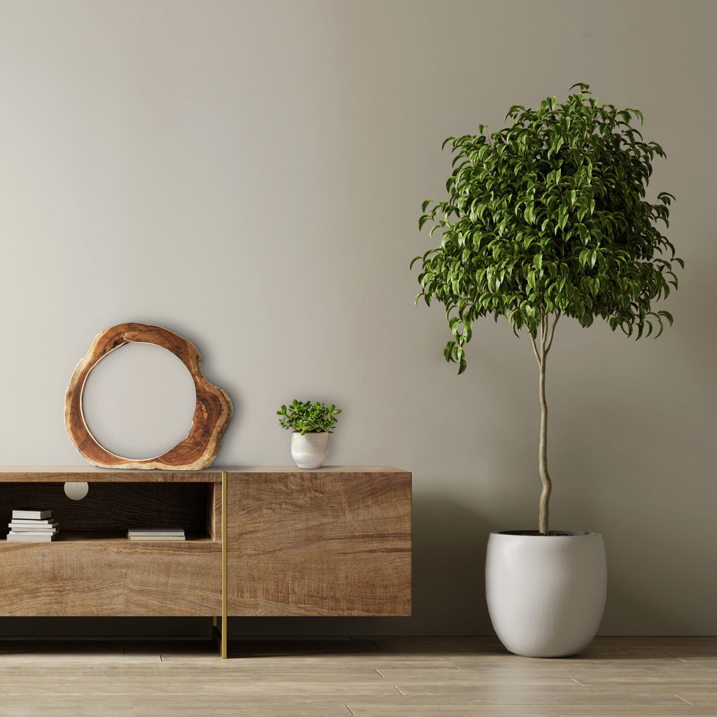 Sales Fever - Tischleuchte LED Treibholz Natur