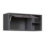 FSC Hängeschrank Lifestyle Studio Flow Anthrazit -vorbestellbar-