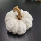 Dekokürbis "White"