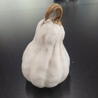 Dekokürbis "White"