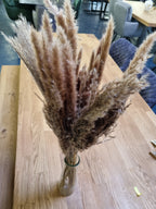 Pampas in Glasvase