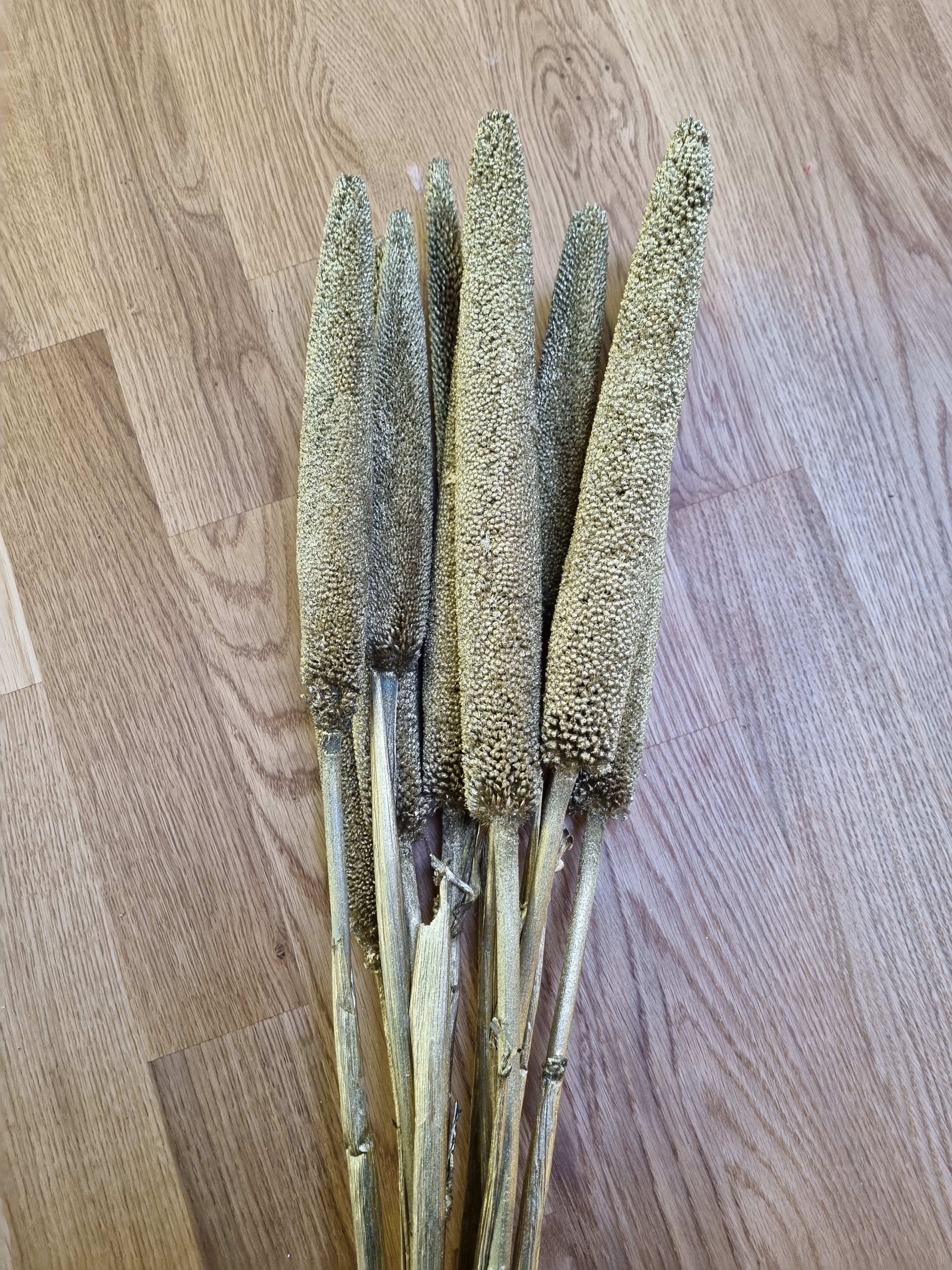 Zweige Babala goldfarbig