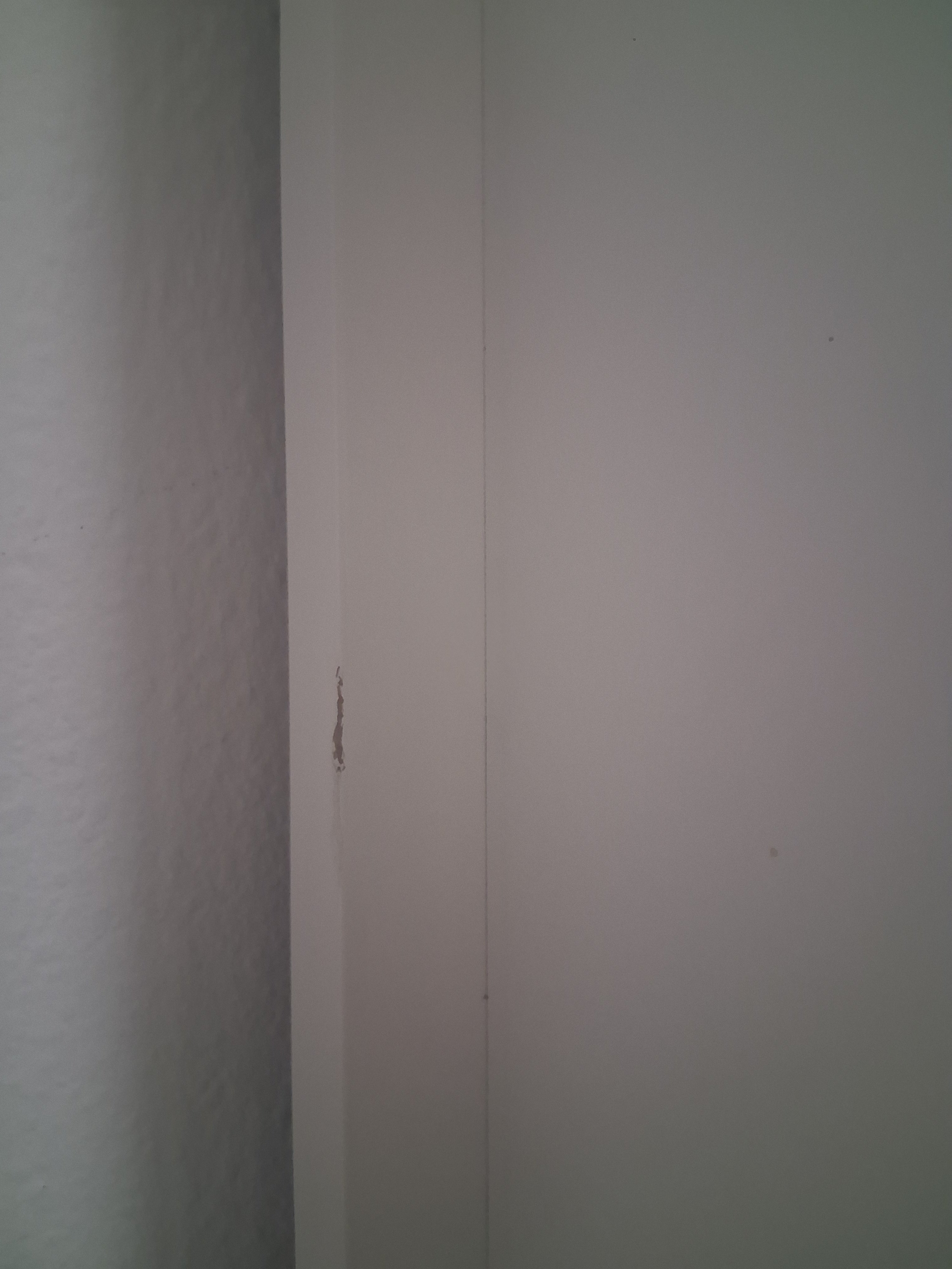 Kleiderschrank "Silicia" 2 trg.