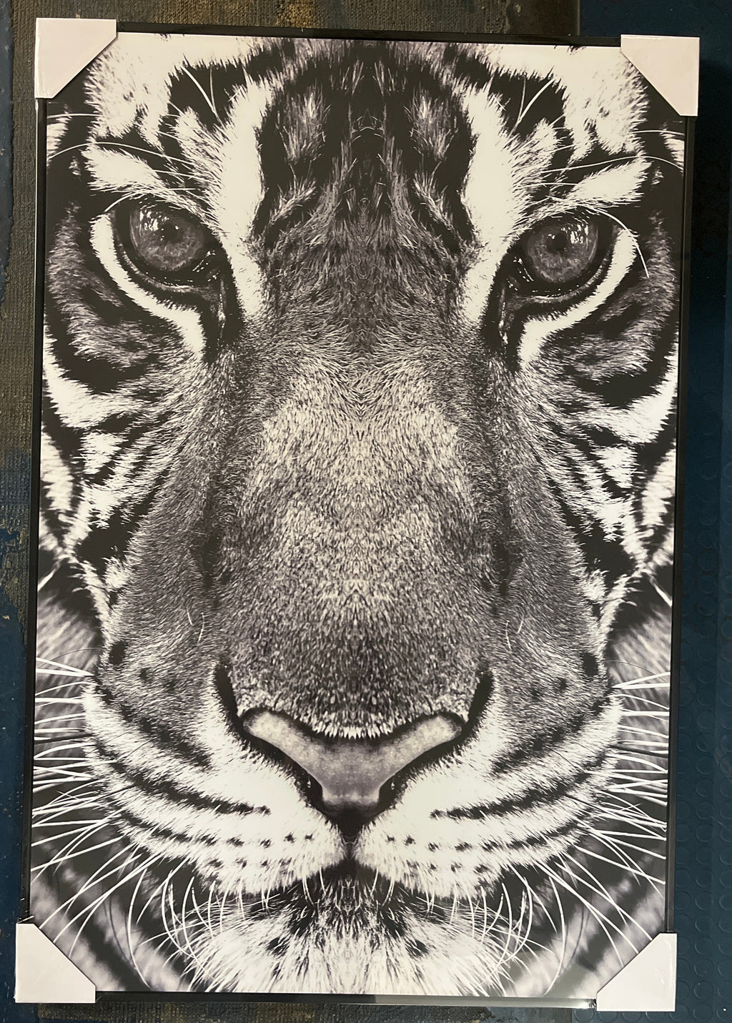 Wandbild Canvas