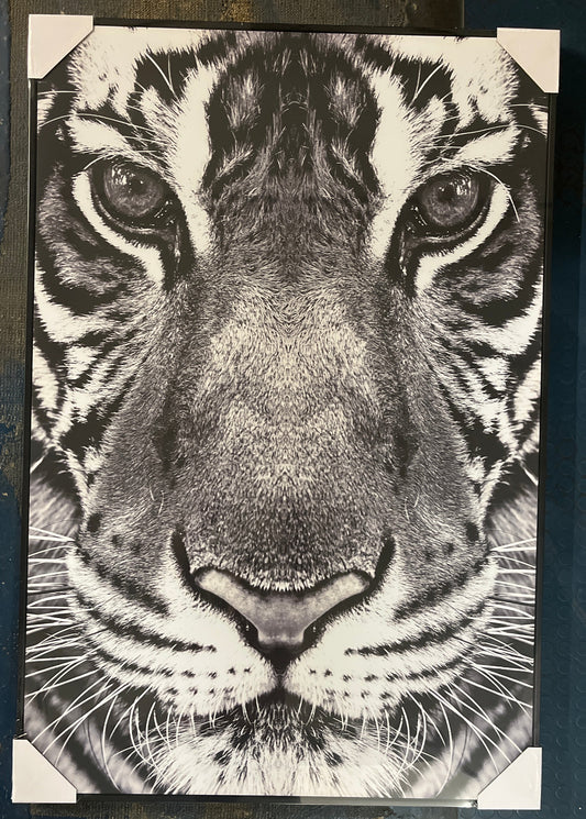 Wandbild Canvas