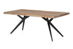 TABLES & CO Tisch 200x100 cm – Platte natur, Gestell antikschwarz – Bild 8