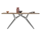 TABLES & CO Tisch 200x100 cm – Platte natur, Gestell antiksilber