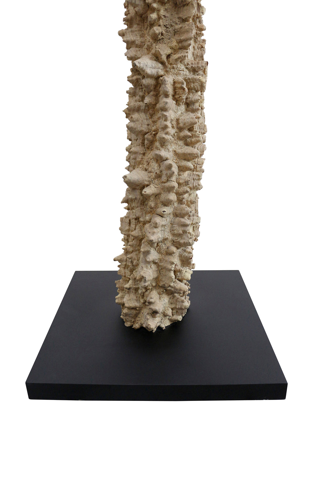 Sales Fever - Stehleuchte Treibholz Natur/Weiß 150 cm