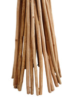 Sales Fever - Stehleuchte Treibholz Natur/Schwarz 149 cm