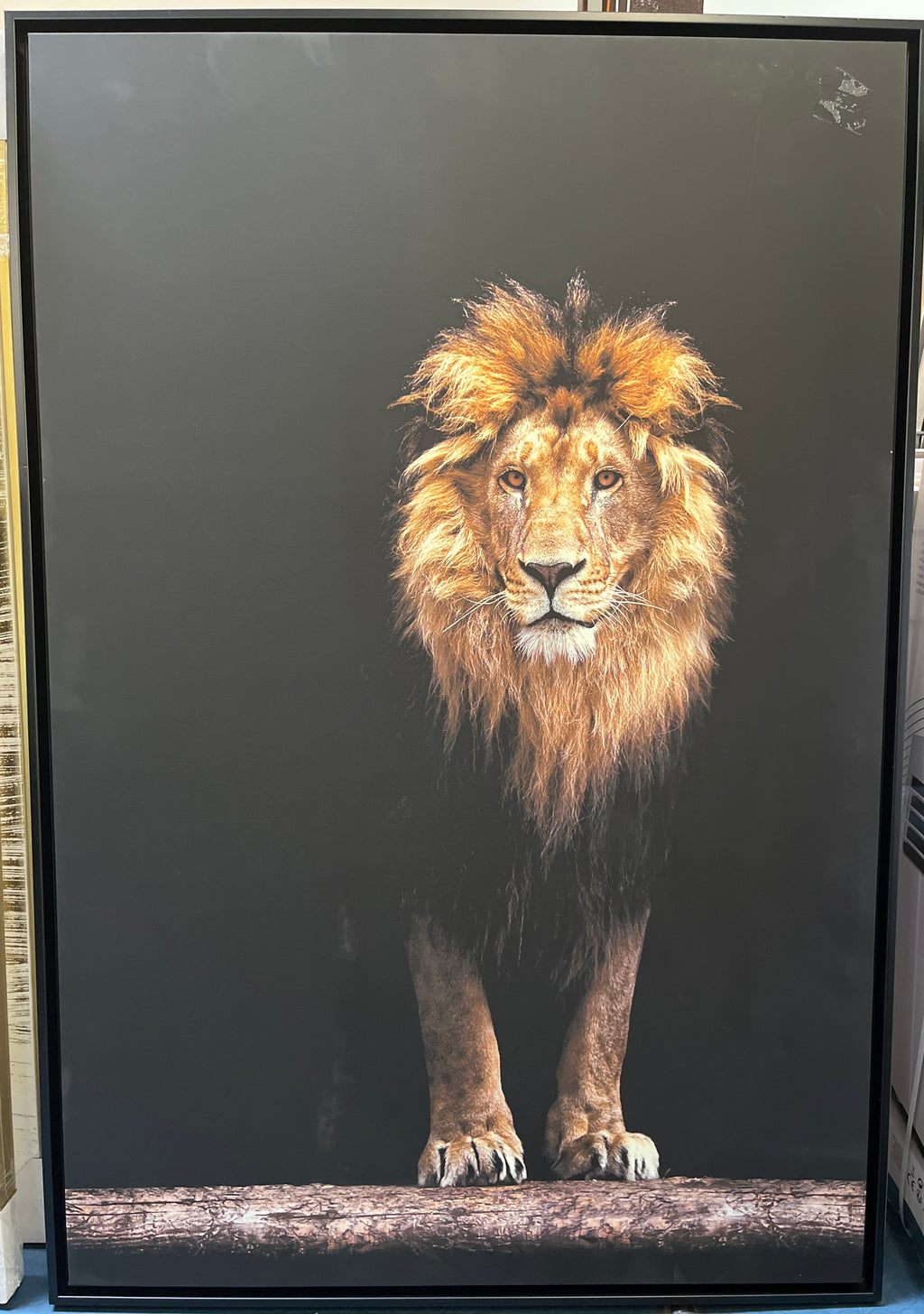 Wandbild Canvas