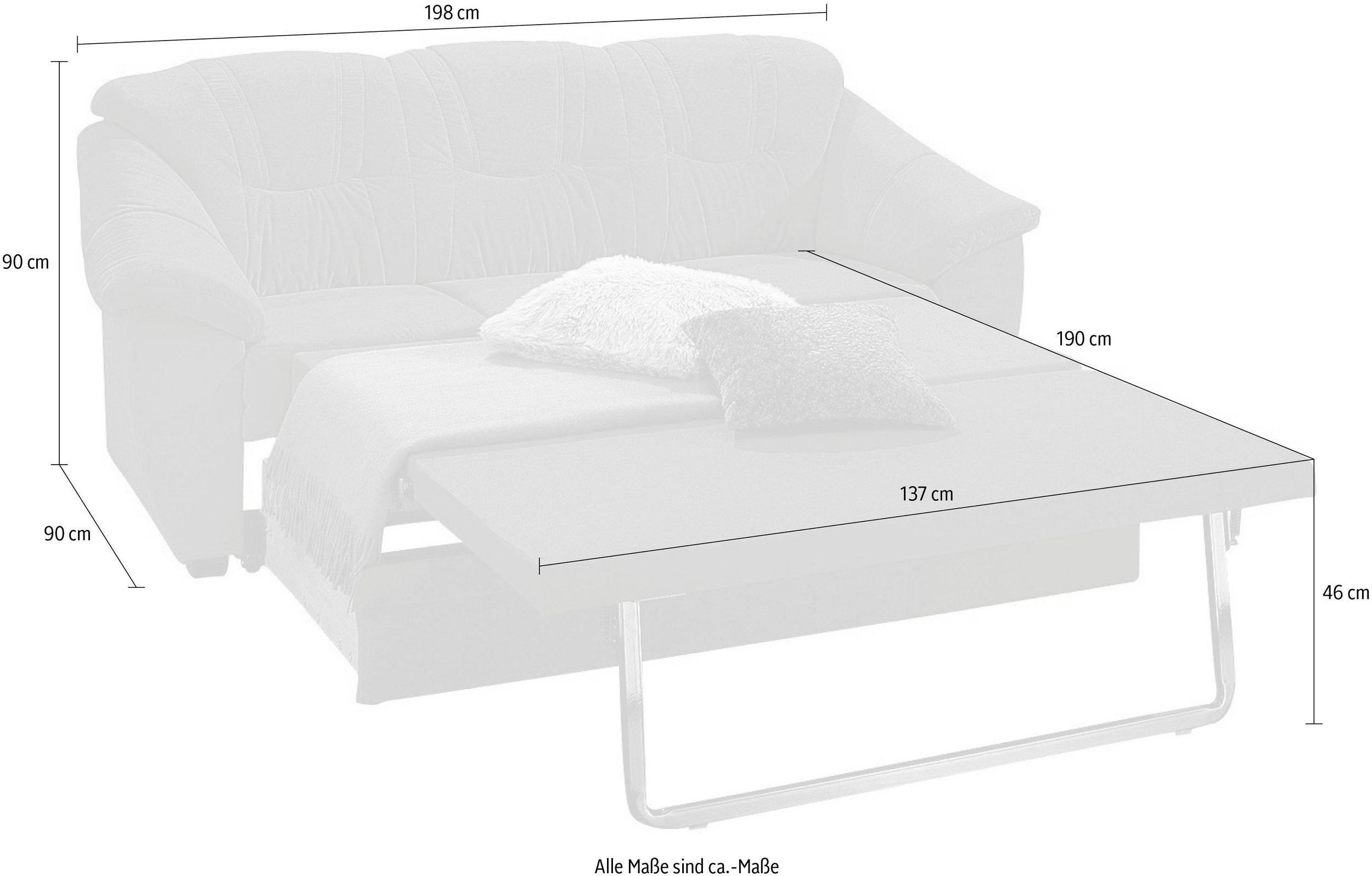 Schlafsofa  Leder