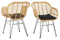 Sales Fever - Armlehnstuhl Rattanoptik 2er Set natur