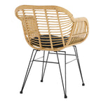 Sales Fever - Armlehnstuhl Rattanoptik 2er Set natur