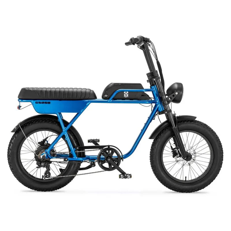 AGM GT250 Fatbike – 250 W Motor, 20 Zoll, hydraulische Scheibenbremsen, bis 100 km Reichweite, geeignet für 2 Personen