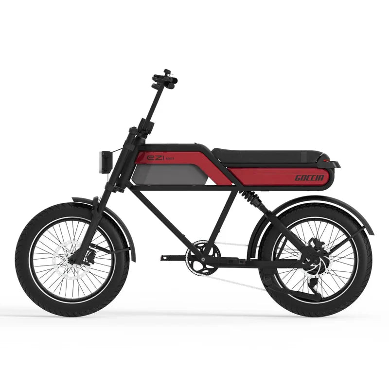 AGM Goccia Sport Fatbike – 250 W Motor, 20 Zoll, hydraulische Scheibenbremsen, bis 100 km Reichweite, geeignet für 2 Personen