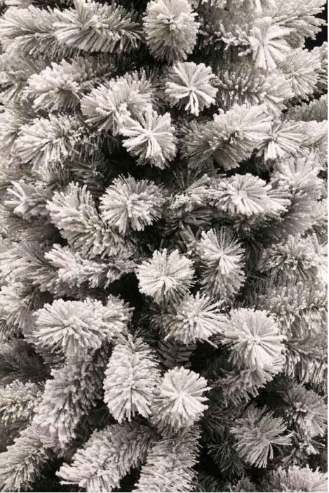 Weihnachtsbaum 215cm