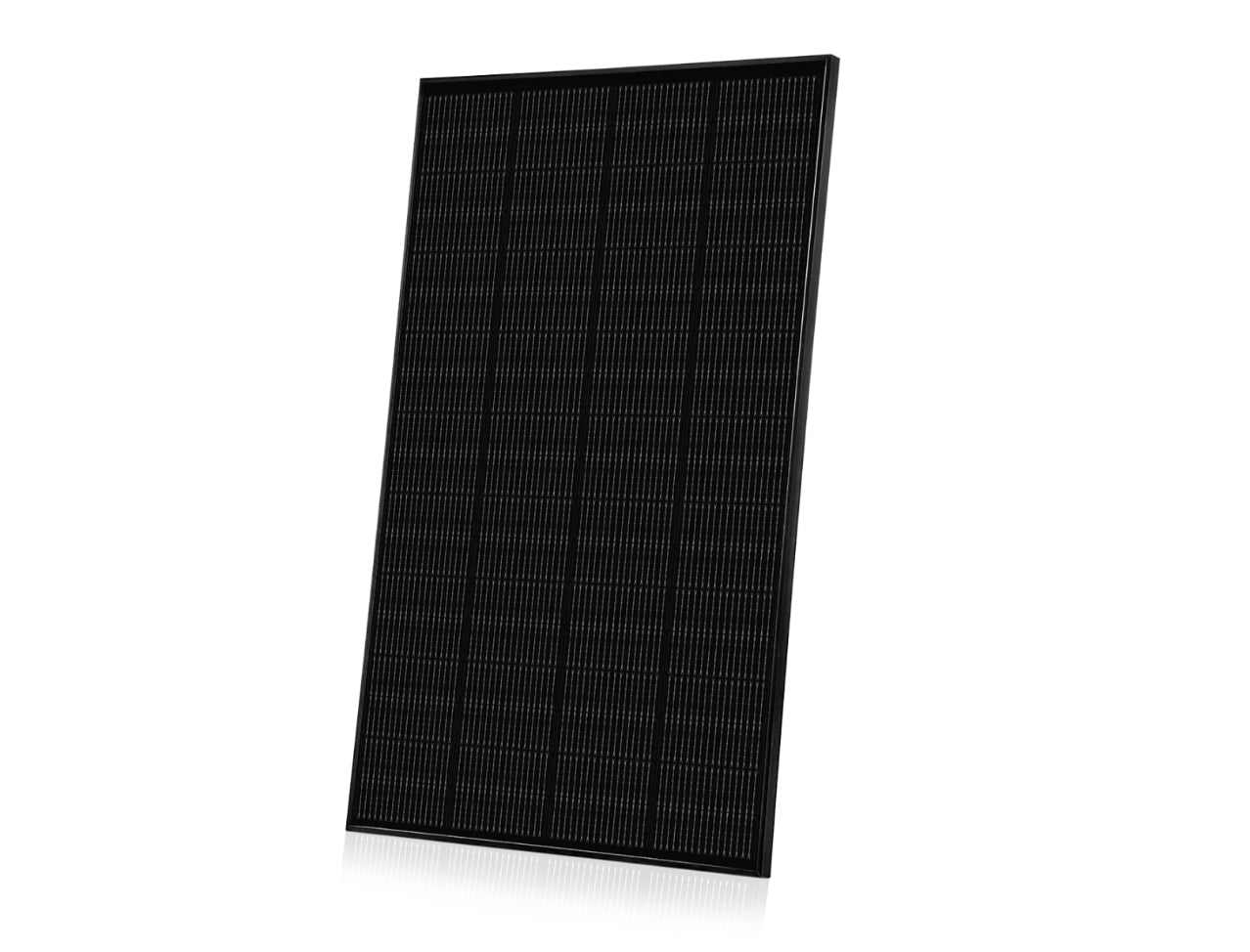Ray Solarmodul 200W komplett Schwarz