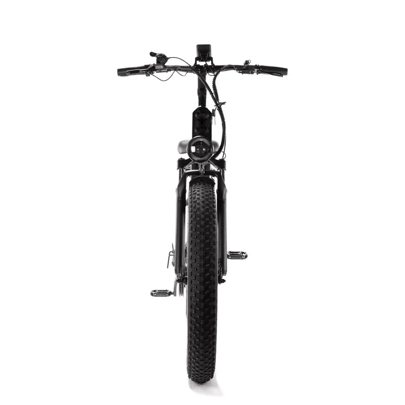 ENGWE E26LA Fatbike – 250 W Motor, 26 Zoll, Tiefeinstieg, Shimano 7-Gang, hydraulische Scheibenbremsen