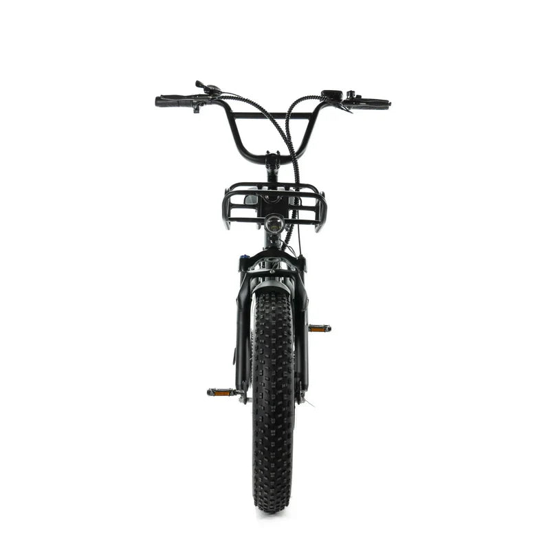 ENGWE L20 Fatbike – 250 W Motor, 20 Zoll, Tiefeinstieg, 7-Gang Shimano, inkl. Vorder- und Gepäckträger