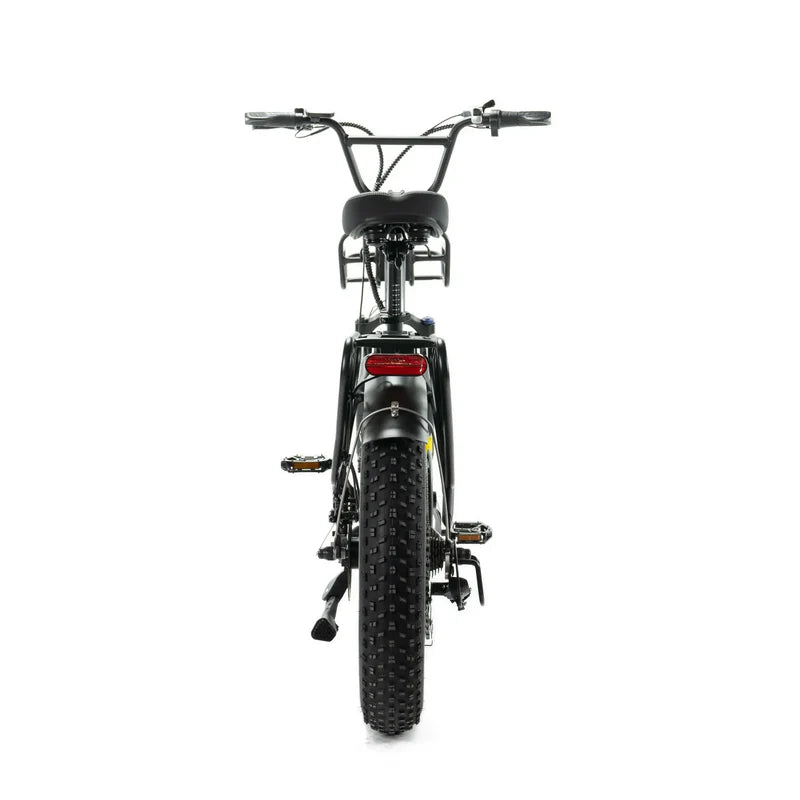 ENGWE L20 Fatbike – 250 W Motor, 20 Zoll, Tiefeinstieg, 7-Gang Shimano, inkl. Vorder- und Gepäckträger