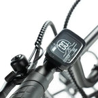 ENGWE L20 Fatbike – 250 W Motor, 20 Zoll, Tiefeinstieg, 7-Gang Shimano, inkl. Vorder- und Gepäckträger