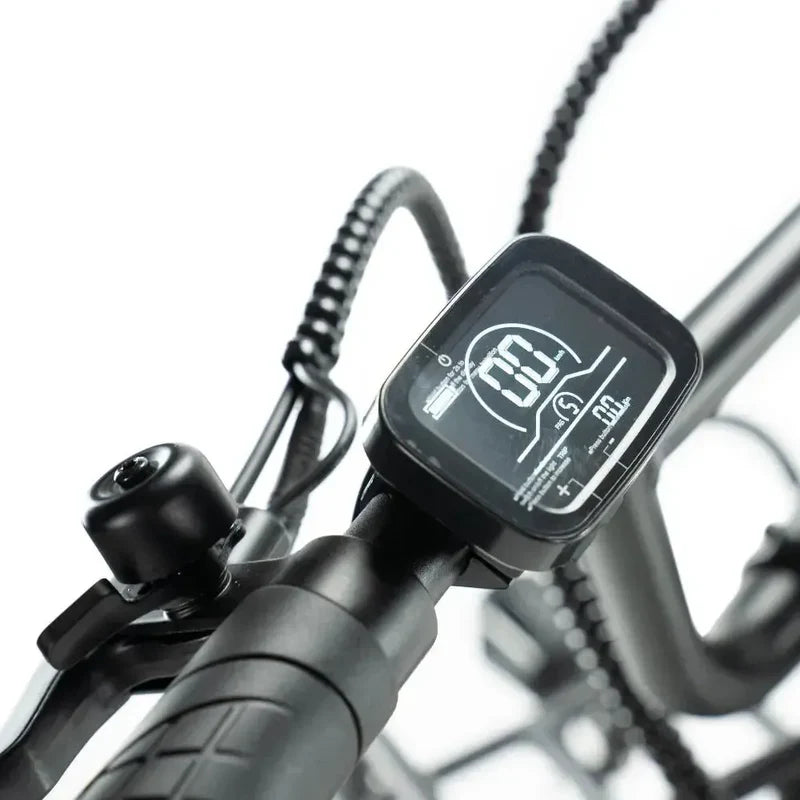 ENGWE L20 Fatbike – 250 W Motor, 20 Zoll, Tiefeinstieg, 7-Gang Shimano, inkl. Vorder- und Gepäckträger