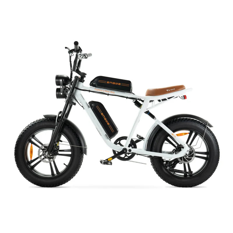ENGWE M20 Dual Fatbike – 250 W Motor, Doppelakku, 20 Zoll, Shimano 7-Gang, bis 150 km Reichweite