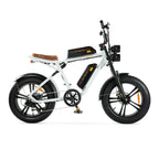 ENGWE M20 Dual Fatbike – 250 W Motor, Doppelakku, 20 Zoll, Shimano 7-Gang, bis 150 km Reichweite