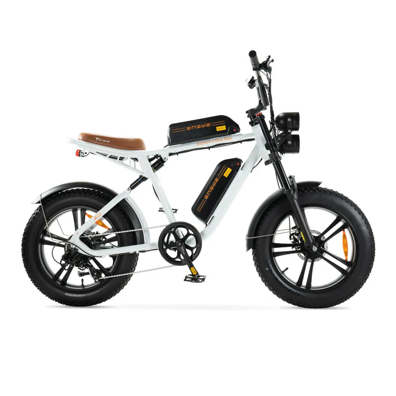 ENGWE M20 Dual Fatbike – 250 W Motor, Doppelakku, 20 Zoll, Shimano 7-Gang, bis 150 km Reichweite
