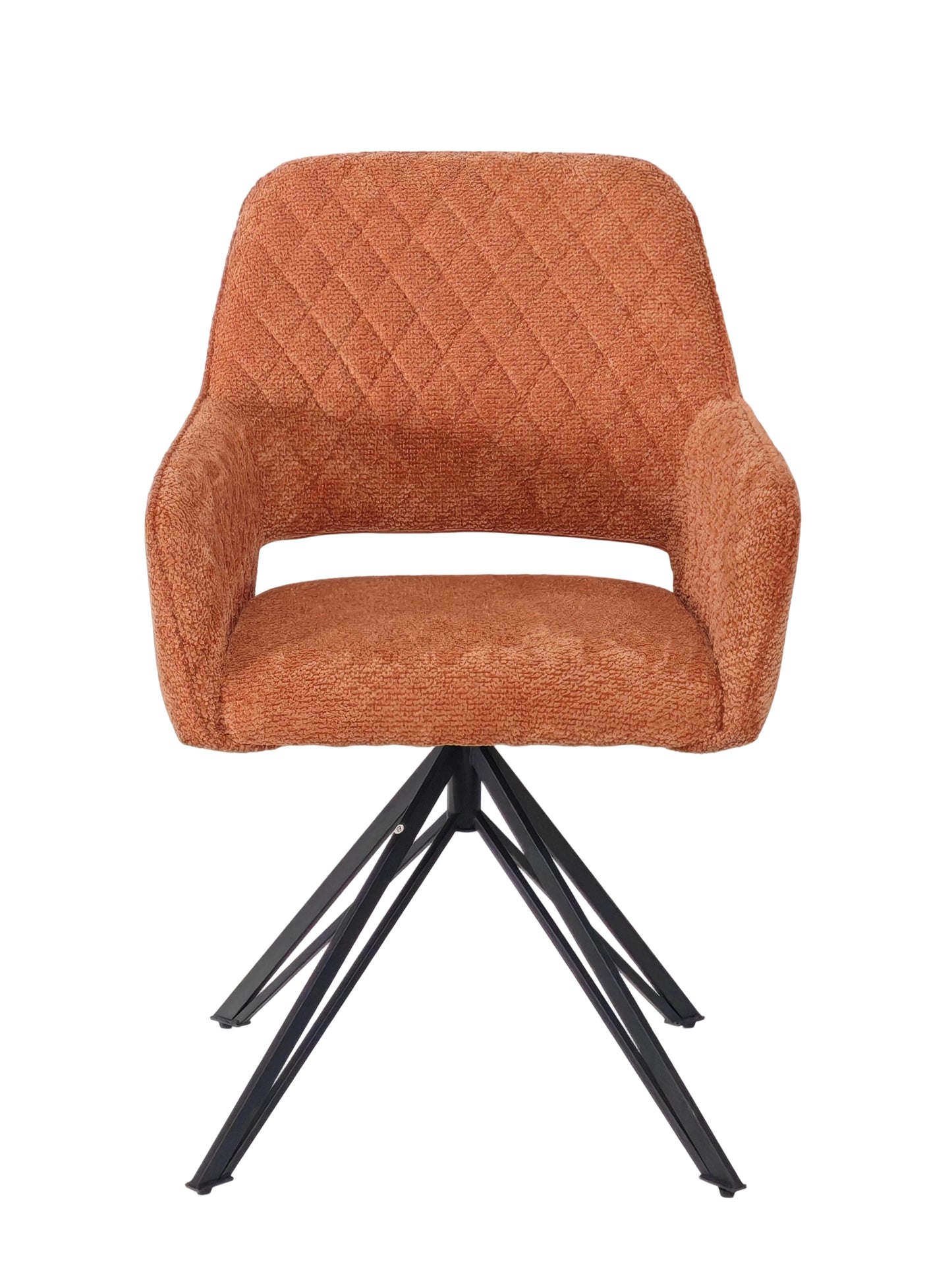 Esszimmerstuhl verschiedene Farben