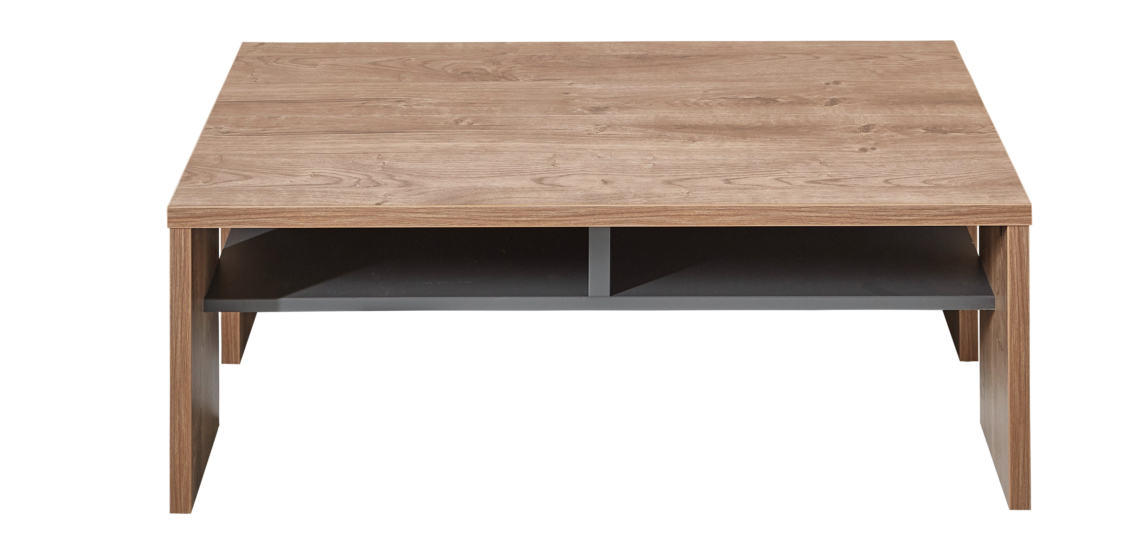 MEDIANA Coutisch