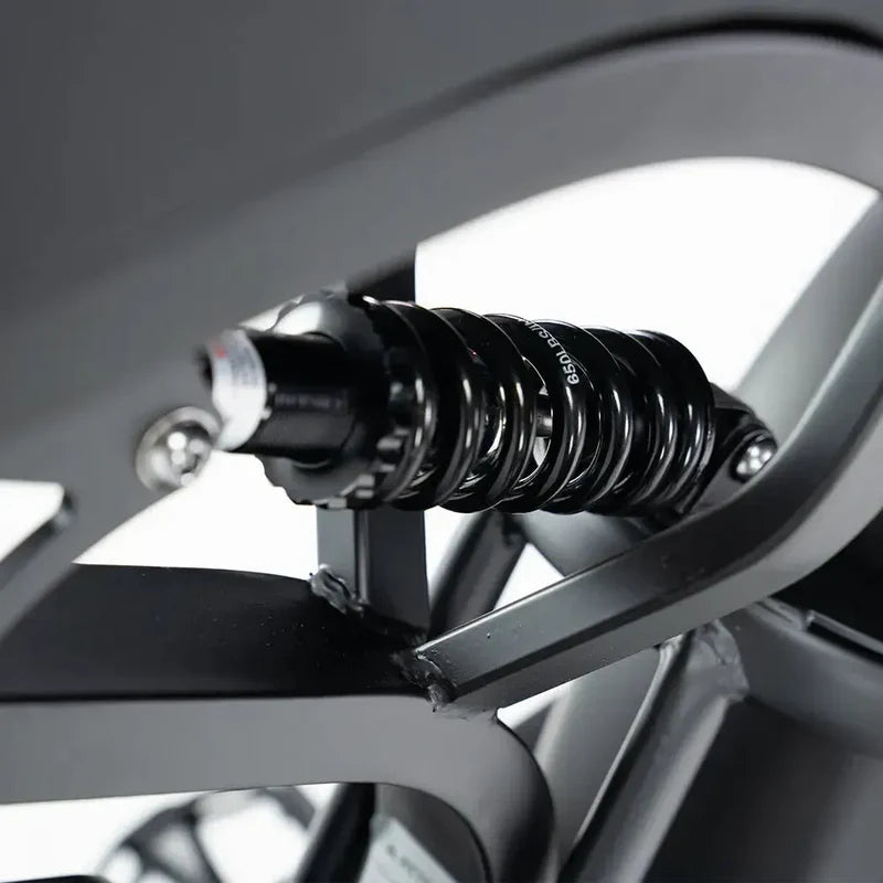 Produkttitel  OUXI Fatbike V20 Pro – 250 W Motor, 20 Zoll, Shimano 7-Gang, hydraulische Scheibenbremsen