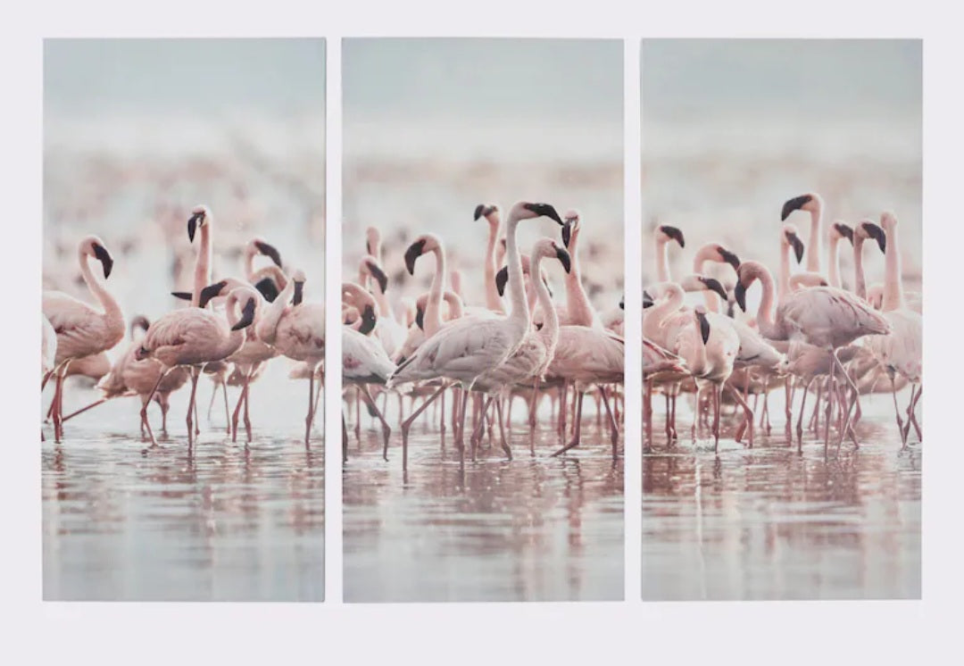 Wandbild Flamingos 3er-Set