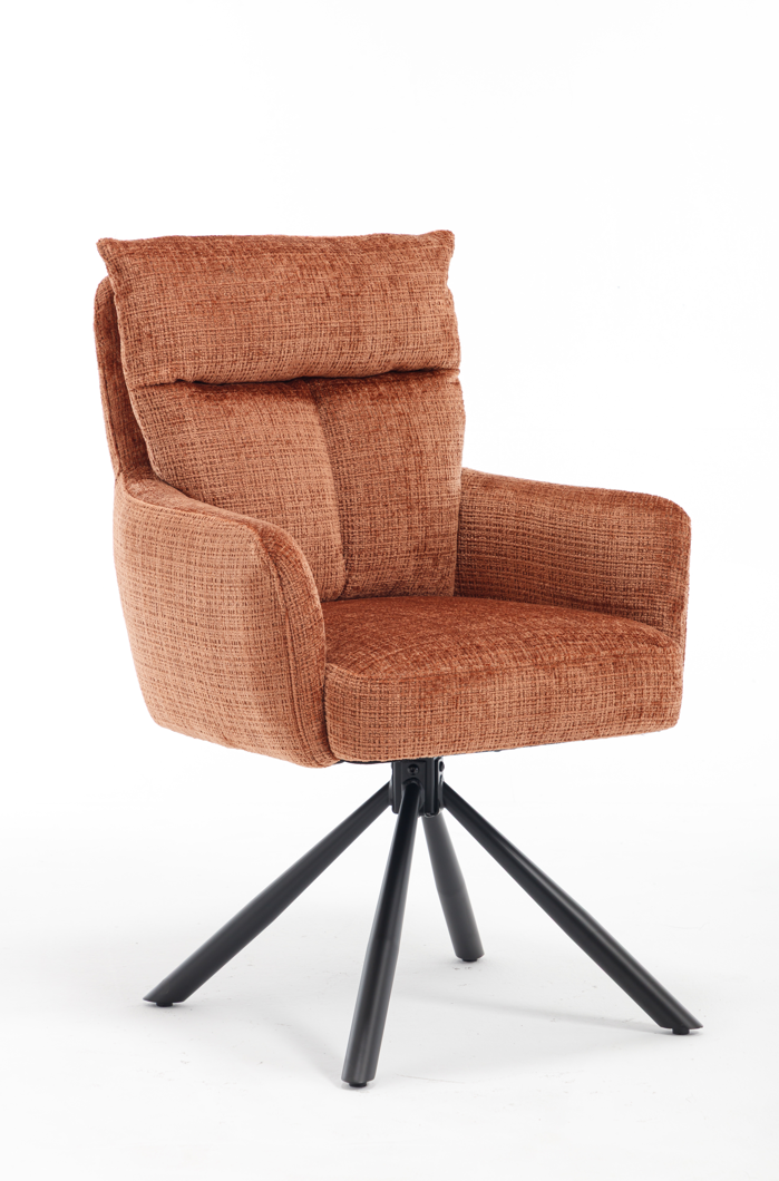 Esszimmerstuhl Stoff