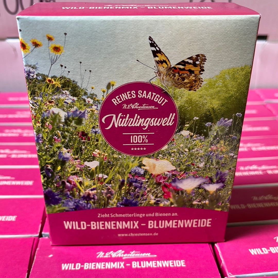 Wildblumensaat