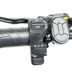 OUXI H9 Fatbike – 250 W Motor, 20 Zoll, Vollfederung, 7-Gang Shimano, hydraulische Scheibenbremsen, Alarmanlage