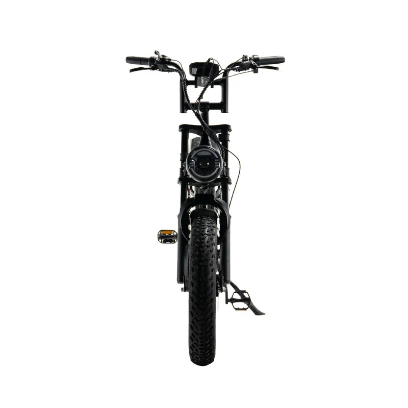 QMWheel S20 Pro Fatbike – 250 W Motor, 20 Zoll, hydraulische Scheibenbremsen- vorbestellbar